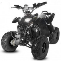 Quad 1000W Eco Razer VTT noir 7 pouces