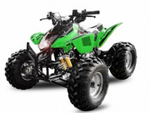 Quad 125cc e-start automatique vert Grizzly 8 pouces