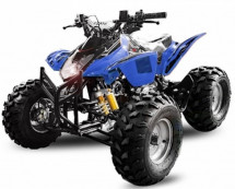 Quad 125cc e-start semi automatique bleu Grizzly 8 pouces