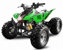 Quad 125cc e-start semi automatique vert Grizzly 8 pouces