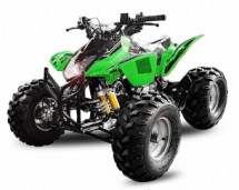 Quad 125cc Grizzly 3G8 vert 8 pouces roues de route