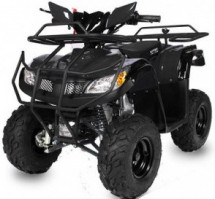 Quad enfant 110cc e-start automatique T-Rex RG7 noir 7 pouces